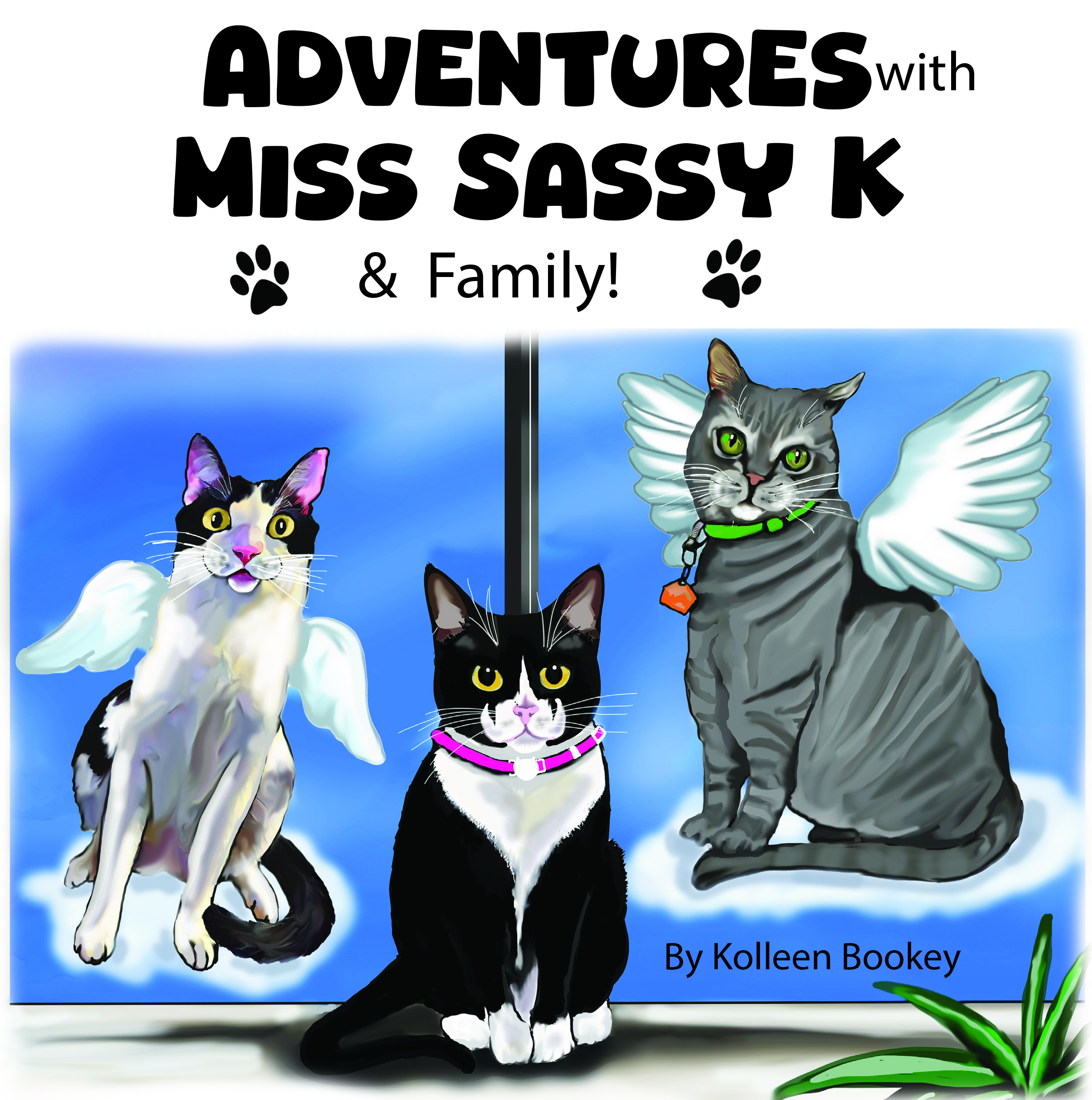 Sassyy's new adventure-1