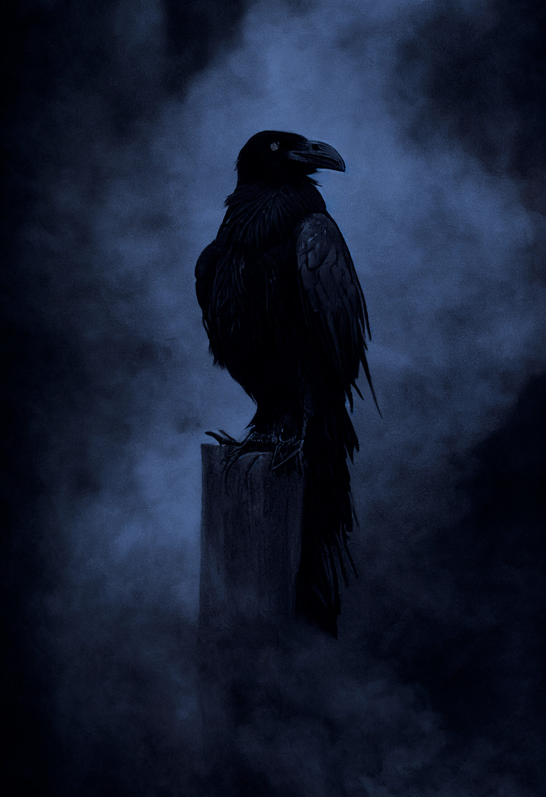 steves_ai_creations-raven-7607950